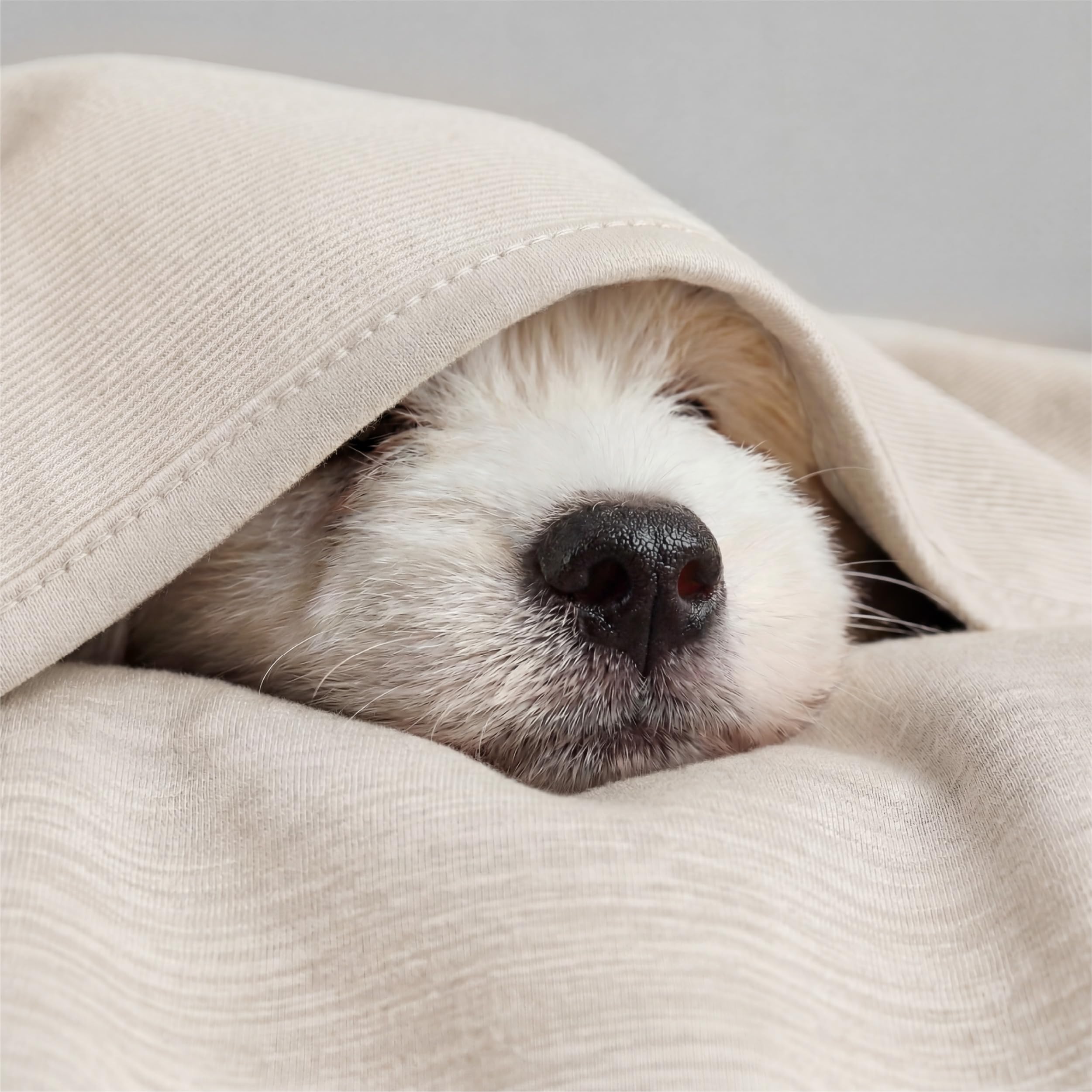 Oat Bamboo Cooling Queen Blanket