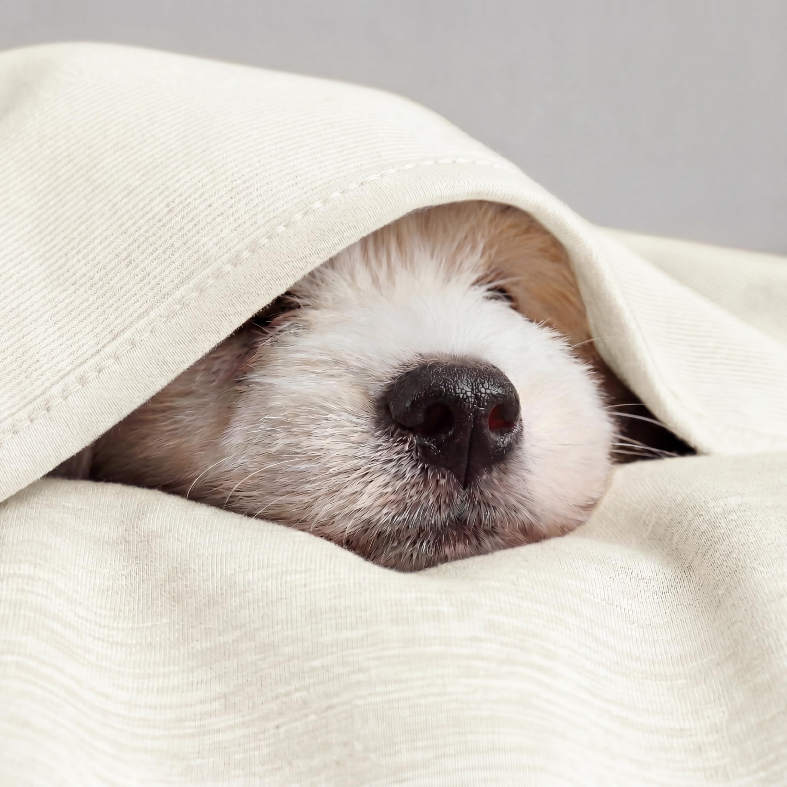 Oat Bamboo Cooling Queen Blanket