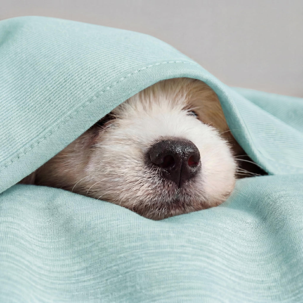 Oat Bamboo Cooling Queen Blanket